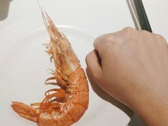 -五月罗马海鲜自助餐厅(陆家嘴店)