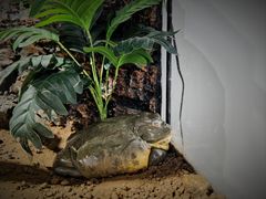 -长沙友阿奥特莱斯