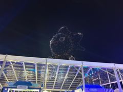 -东港音乐喷泉广场