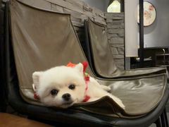 -熹悟海鲜火锅·广式打边炉