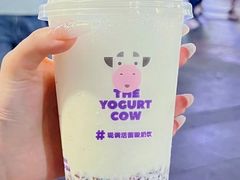 -一只酸奶牛(大融城店)