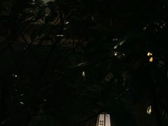-杭州第一世界大酒店·云曼温泉