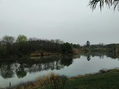 -白鹭湾湿地公园