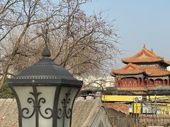 -Sirena海妖日咖夜酒