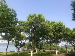 -东钱湖旅游度假区