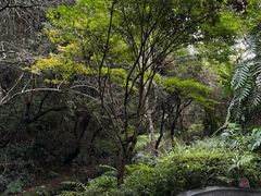 -和顺柏联温泉