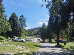 -武陵山森林公园