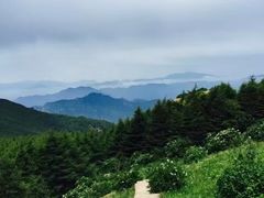 -白草畔自然风景区