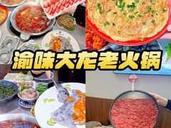 -渝大龙重庆火锅(温泉月亮湾店)