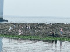 -黑石礁公园