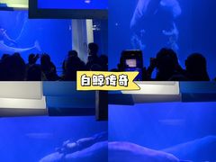 -大连圣亚海洋世界