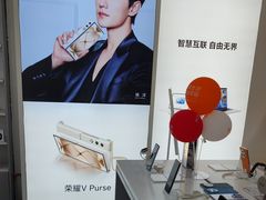 -荣耀授权专卖店(黄浦浙江中路店)