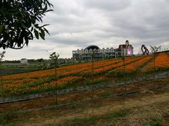 android_upload_pic-紫颐香薰山谷景区