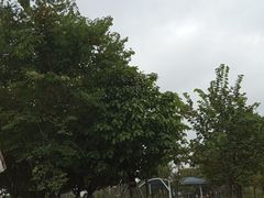 -海珠儿童公园
