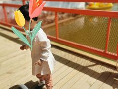 -向外鱼乐·土菜·虹鳟鱼