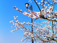 -青岛东方影都融创电影世界