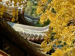 -西园戒幢律寺
