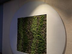 -上足·影院足道·SPA(红岭店)