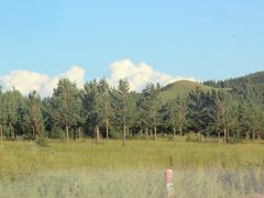 -塞罕坝国家级自然保护区