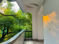 -湖北美术学院(昙华林校区)