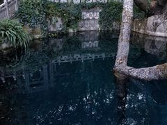 -蝴蝶泉公园