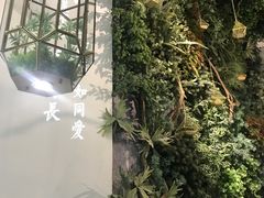-潮粥荟·潮汕砂锅粥(朝阳大悦城店)