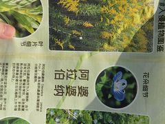-前小桔亲子创意农场·草莓采摘·露营烧烤