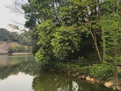 -广州市石门国家森林公园