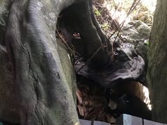-呀诺达热带雨林