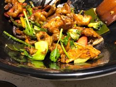 -食乐佳麻辣香锅(森林摩尔商业街区店)