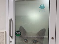 -谐和贝康宠物医院24小时·宠保定点(急重症转诊中心)