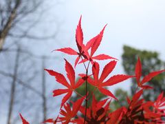 外景-上海怡沁园度假酒店