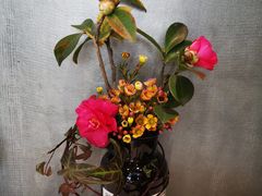 -龙猫意杯花园餐厅(芙蓉湖店)