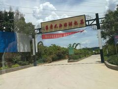 -异龙湖万亩荷花园