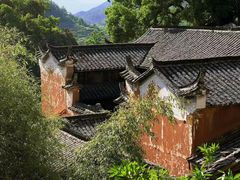 -杨家堂村