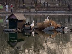 -太阳宫公园
