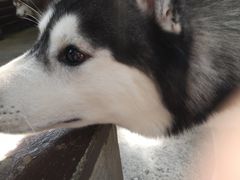 -TrueLove @ Neverland (Husky Cafe)