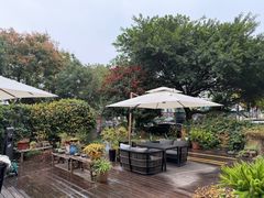 -一棵树·意大利西餐厅One Tree(新城店)