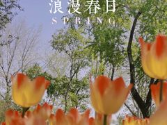 -国家植物园