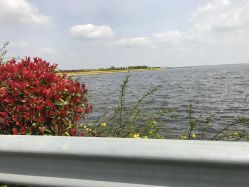 -水八仙生态园