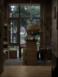 -Tao瑜伽