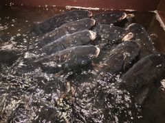 -上名堂·鱼头好吃(体育场路店)