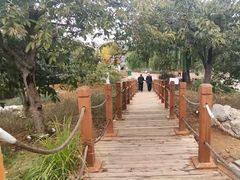 -羊亭河湿地公园