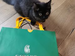 -GOYARD(恒隆广场店)