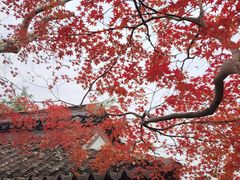 -莹珠阁·私房菜