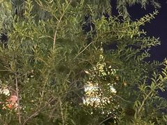 -济南方特东方神画