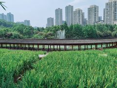 -龙头寺公园