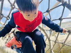 -华媒维翰幼儿园