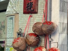 -洪馨椰子