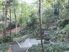 -都江堰普照寺